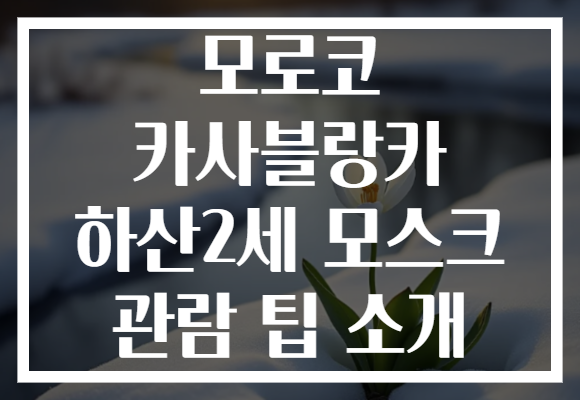 모로코 카사블랑카 하산2세 모스크 관람 팁 소개