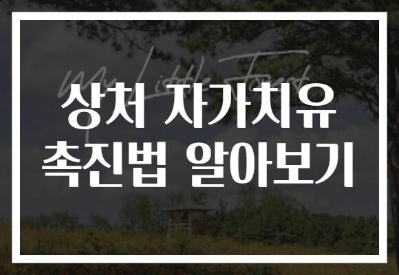 상처 자가치유 촉진법 알아보기