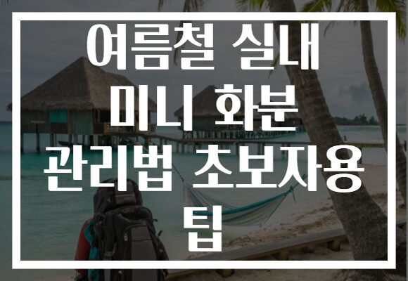 여름철 실내 미니 화분 관리법 초보자용 팁