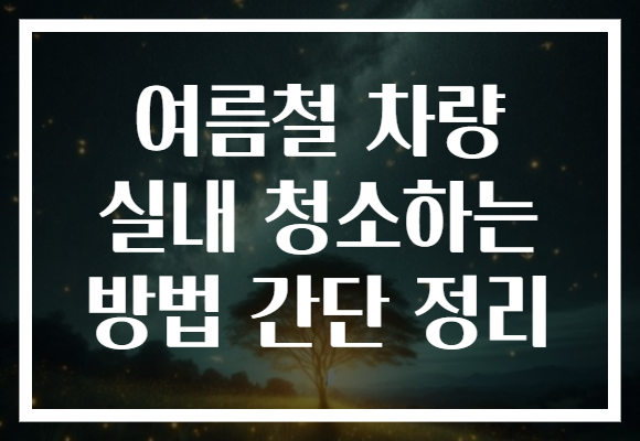 여름철 차량 실내 청소하는 방법 간단 정리