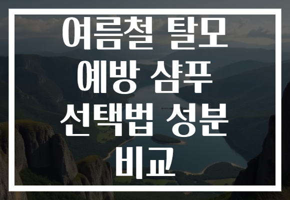 여름철 탈모 예방 샴푸 선택법 성분 비교