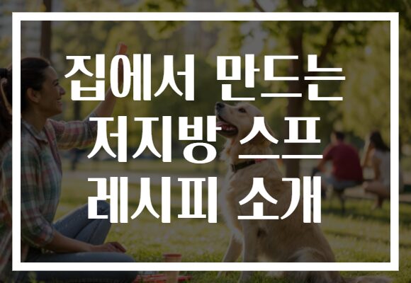 집에서 만드는 저지방 스프 레시피 소개