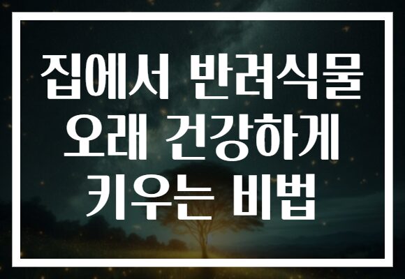 집에서 반려식물 오래 건강하게 키우는 비법
