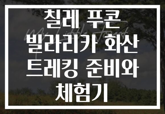 칠레 푸콘 빌라리카 화산 트레킹 준비와 체험기
