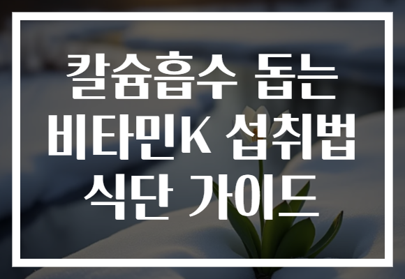 칼슘흡수 돕는 비타민K 섭취법 식단 가이드