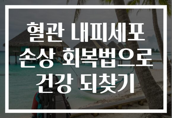 혈관 내피세포 손상 회복법으로 건강 되찾기