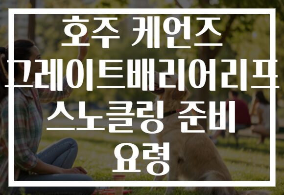 호주 케언즈 그레이트배리어리프 스노클링 준비 요령
