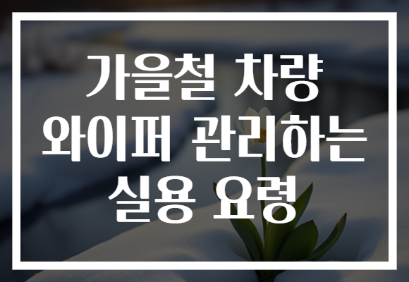 가을철 차량 와이퍼 관리하는 실용 요령