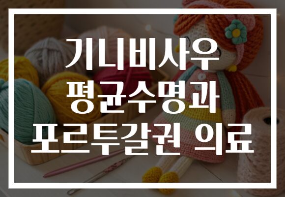 기니비사우 평균수명과 포르투갈권 의료