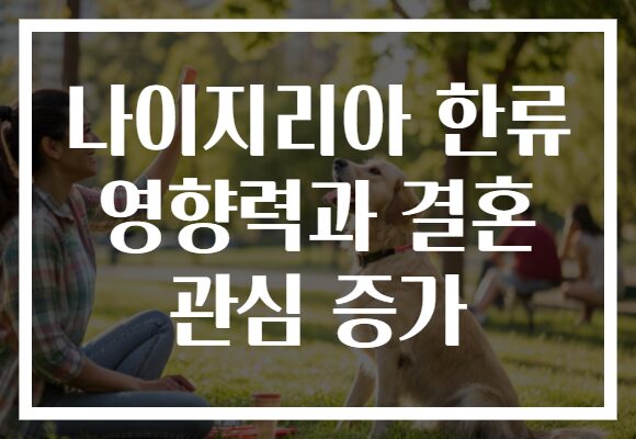 나이지리아 한류 영향력과 결혼 관심 증가