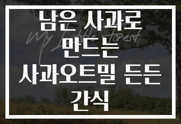 남은 사과로 만드는 사과오트밀 든든 간식