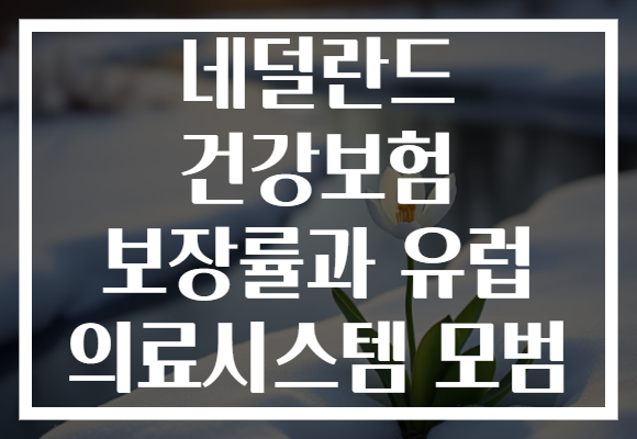 네덜란드 건강보험 보장률과 유럽 의료시스템 모범