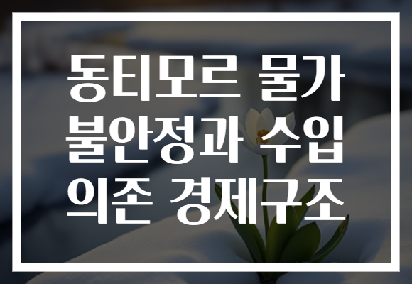 동티모르 물가 불안정과 수입 의존 경제구조