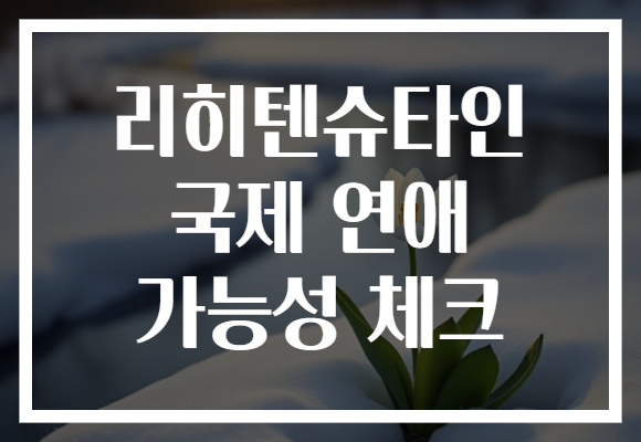리히텐슈타인 국제 연애 가능성 체크