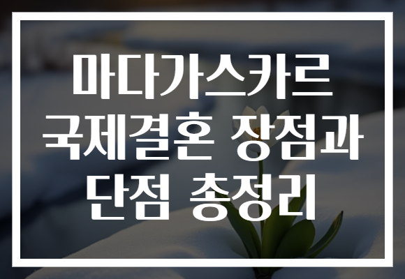 마다가스카르 국제결혼 장점과 단점 총정리