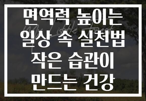 면역력 높이는 일상 속 실천법 작은 습관이 만드는 건강
