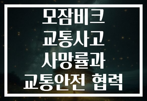 모잠비크 교통사고 사망률과 교통안전 협력