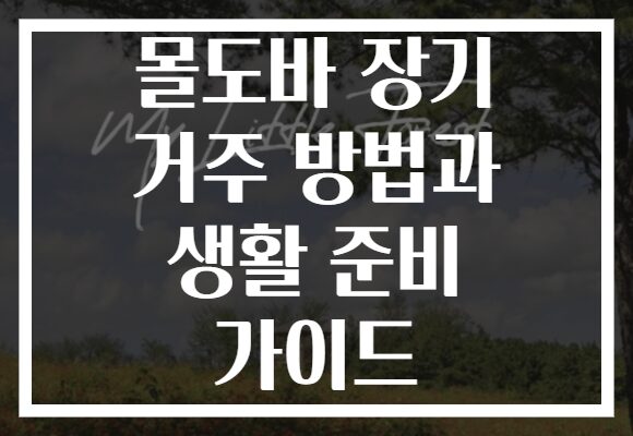 몰도바 장기 거주 방법과 생활 준비 가이드