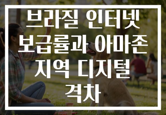 브라질 인터넷 보급률과 아마존 지역 디지털 격차