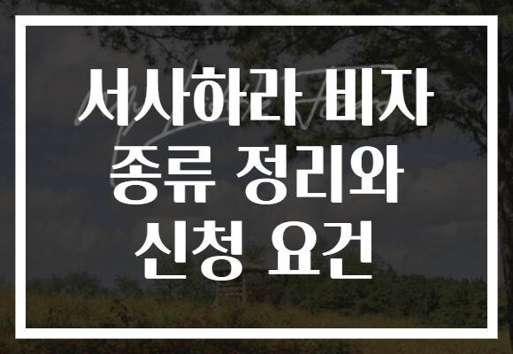 서사하라 비자 종류 정리와 신청 요건