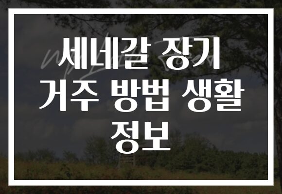 세네갈 장기 거주 방법 생활 정보