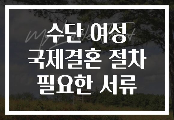수단 여성 국제결혼 절차 필요한 서류