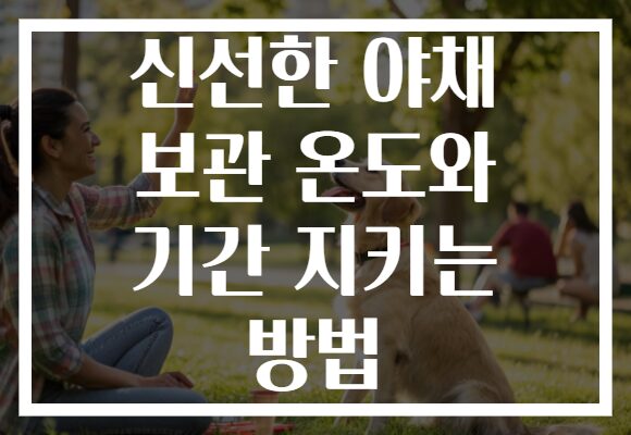 신선한 야채 보관 온도와 기간 지키는 방법