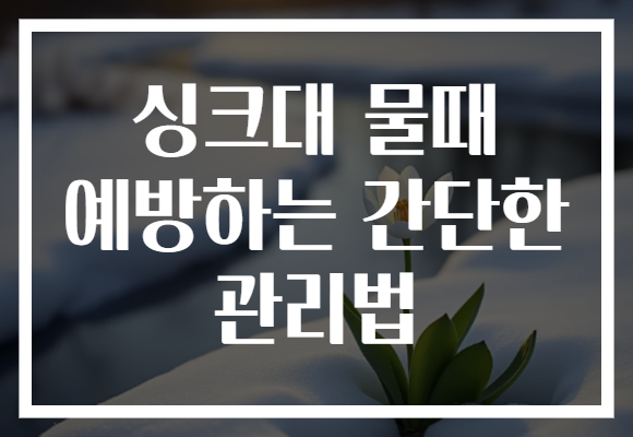싱크대 물때 예방하는 간단한 관리법