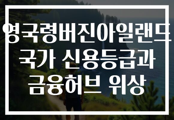 영국령버진아일랜드 국가 신용등급과 금융허브 위상