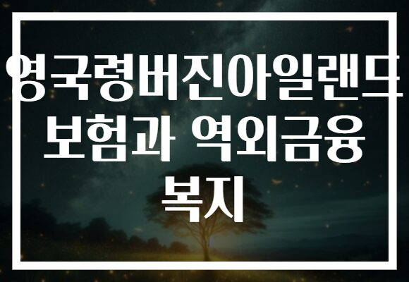 영국령버진아일랜드 보험과 역외금융 복지