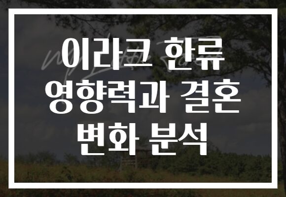 이라크 한류 영향력과 결혼 변화 분석