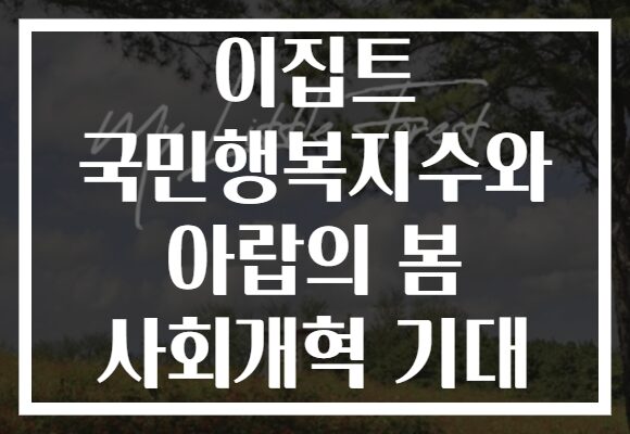 이집트 국민행복지수와 아랍의 봄 사회개혁 기대