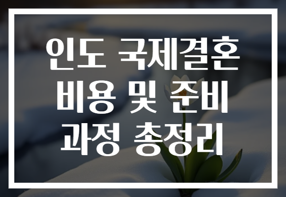 인도 국제결혼 비용 및 준비 과정 총정리