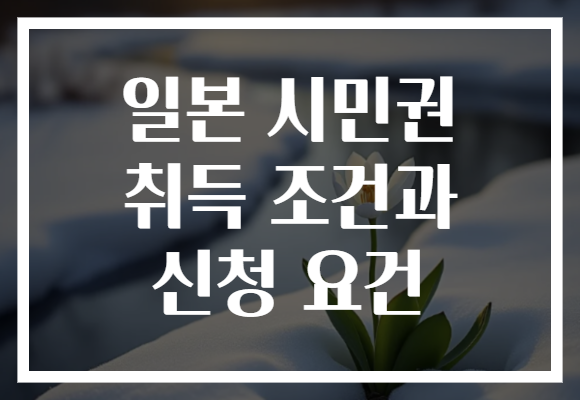 일본 시민권 취득 조건과 신청 요건