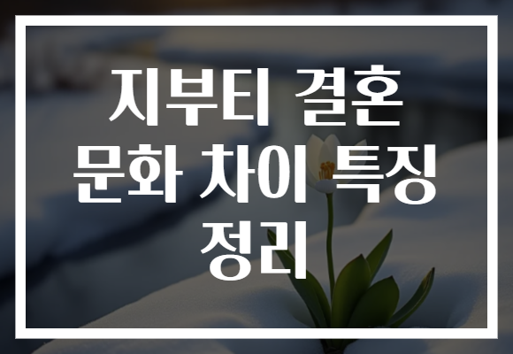 지부티 결혼 문화 차이 특징 정리