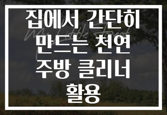 집에서 간단히 만드는 천연 주방 클리너 활용