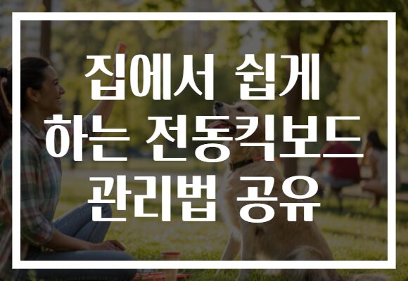 집에서 쉽게 하는 전동킥보드 관리법 공유