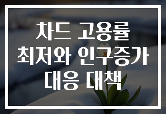 차드 고용률 최저와 인구증가 대응 대책