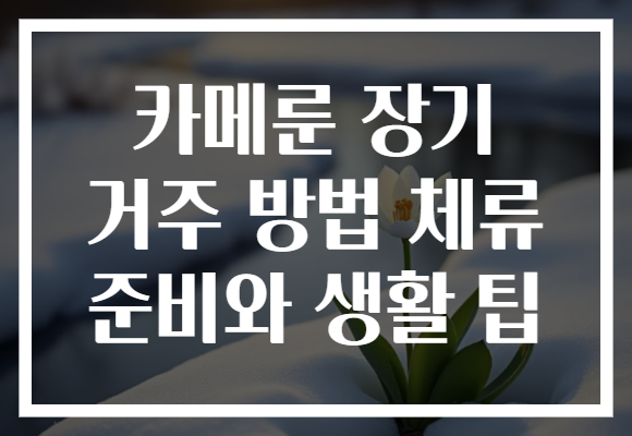 카메룬 장기 거주 방법 체류 준비와 생활 팁
