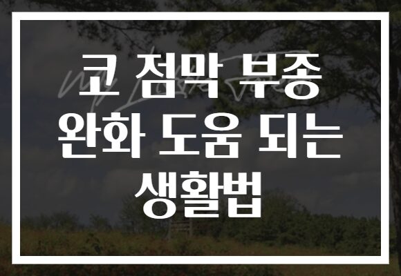 코 점막 부종 완화 도움 되는 생활법