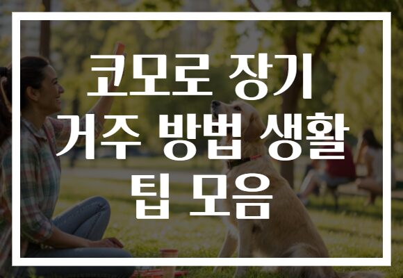 코모로 장기 거주 방법 생활 팁 모음