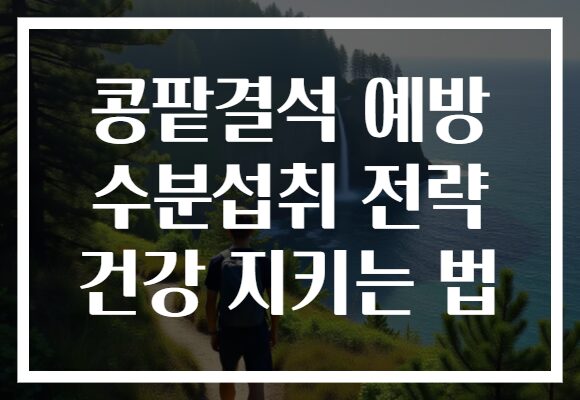 콩팥결석 예방 수분섭취 전략 건강 지키는 법