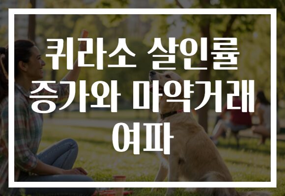 퀴라소 살인률 증가와 마약거래 여파