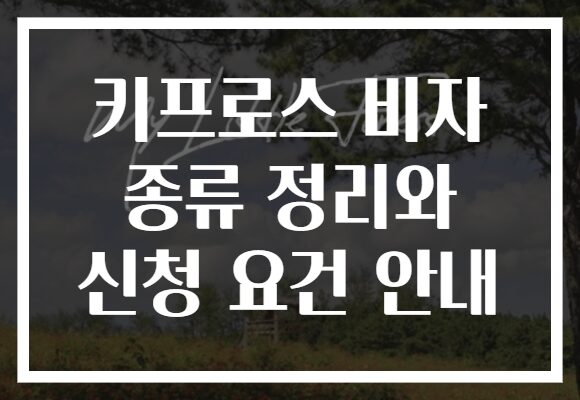 키프로스 비자 종류 정리와 신청 요건 안내