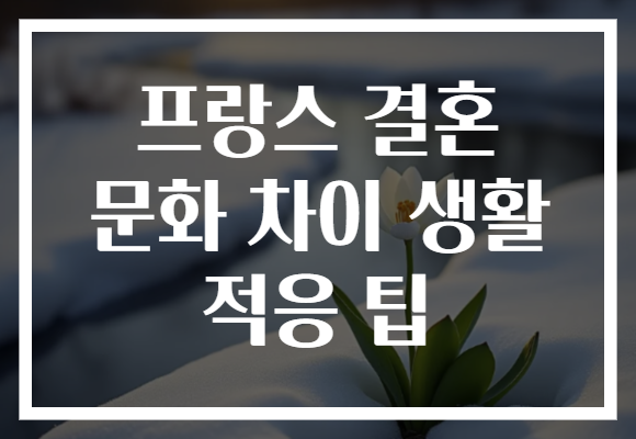 프랑스 결혼 문화 차이 생활 적응 팁
