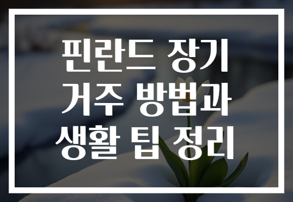 핀란드 장기 거주 방법과 생활 팁 정리