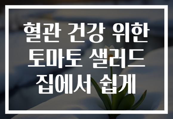 혈관 건강 위한 토마토 샐러드 집에서 쉽게
