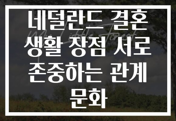 네덜란드 결혼 생활 장점 서로 존중하는 관계 문화
