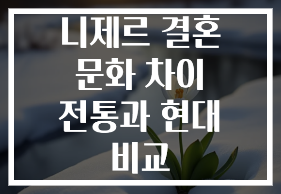 니제르 결혼 문화 차이 전통과 현대 비교