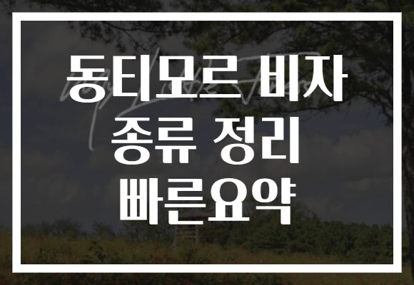 동티모르 비자 종류 정리 빠른요약